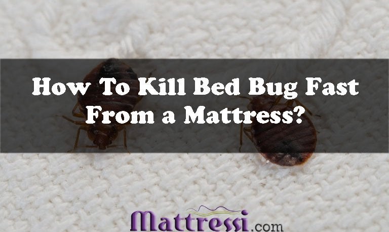 How To Kill Bed Bugs Fast From a Mattress?